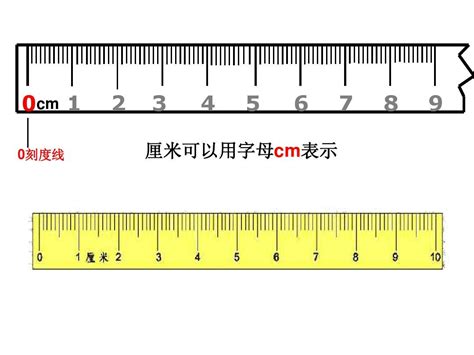 厘米尺子|尺子在线